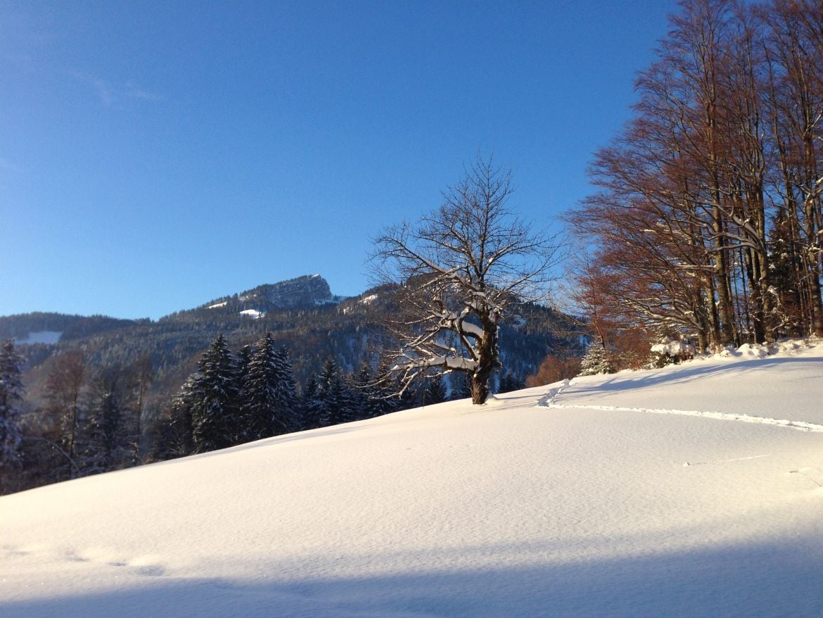 Berge Winter (7)