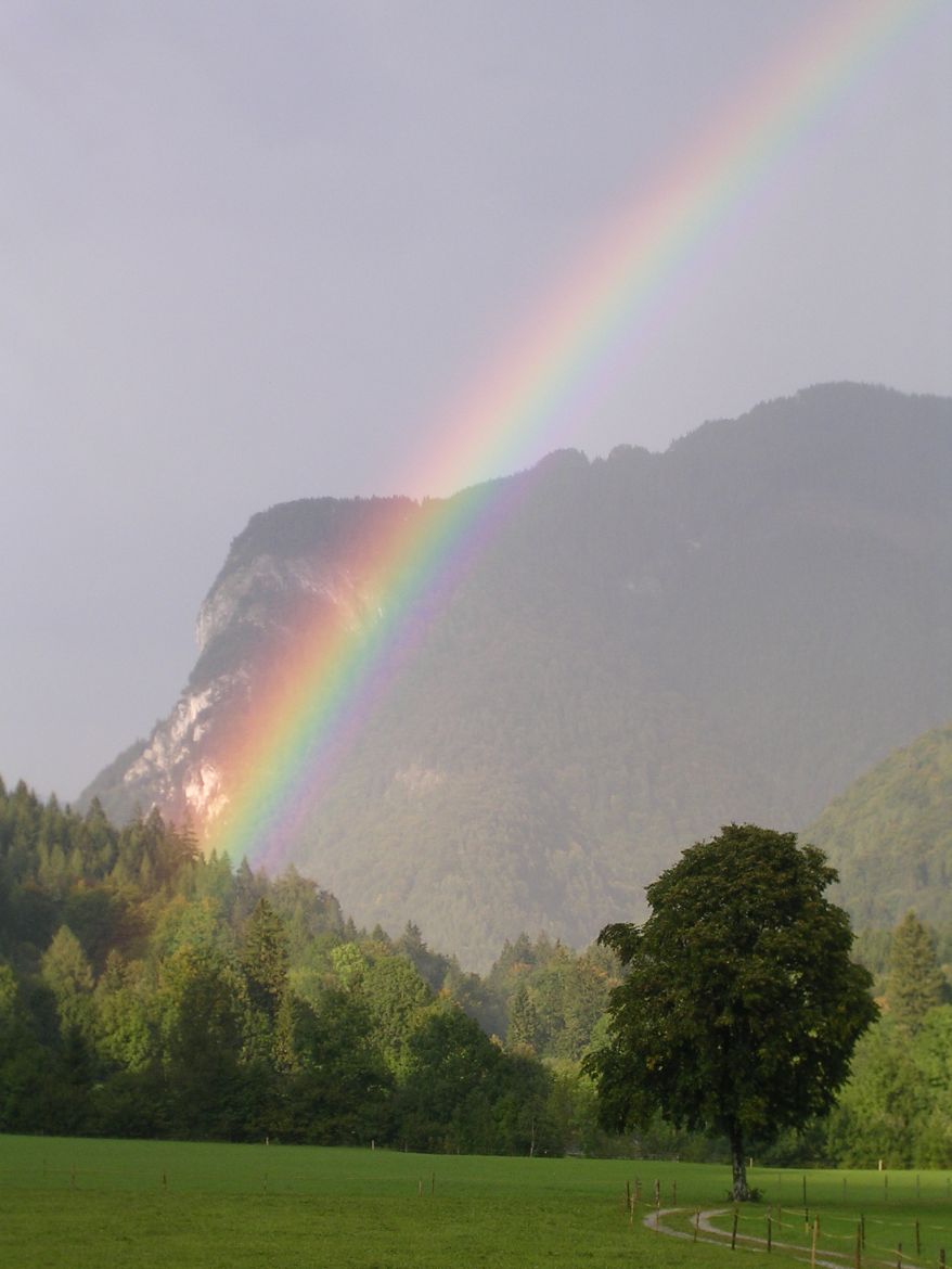 Regenbogen Sachrang